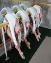 dontseeeveryday-7.jpg
