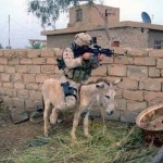 military_humor018