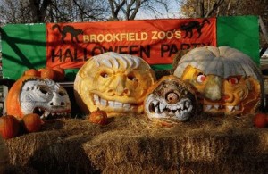 best_pumpkin-12