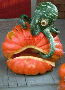best_pumpkin-4