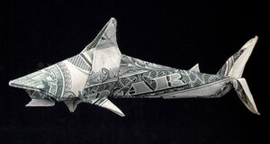origami14
