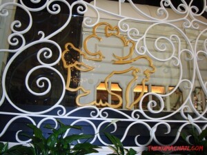 thekumachan_tokyo_disneyland_2011-15