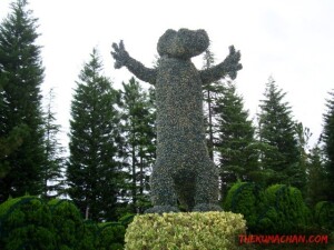 thekumachan_tokyo_disneyland_2011-4