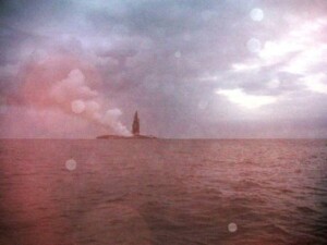 image009
