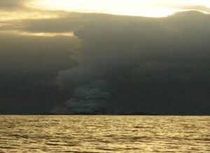 image010
