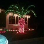 xmas_lights_palm_tree