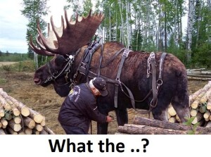 Canada 00068