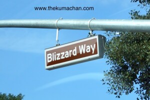 Blizzard_Way