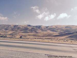 thekumachan_100