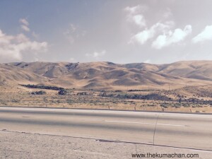 thekumachan_101