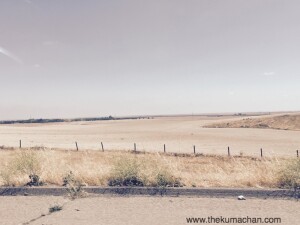 thekumachan_110