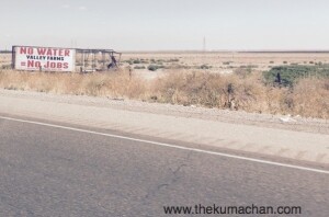 thekumachan_112