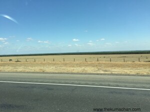 thekumachan_121