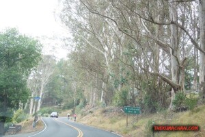 thekumachan_richmond_to_sausalito_california-20
