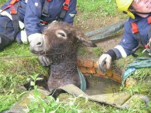 image0015