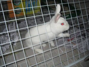 image00319