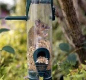 image0227
