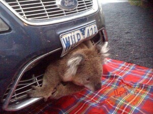 image02321