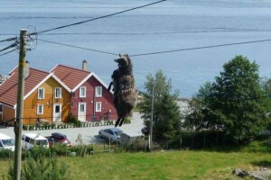 image02912