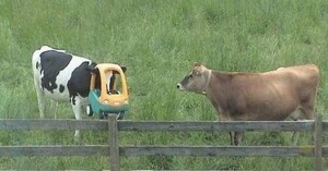image0354