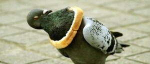 image03715