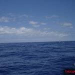 thekumachan_oahu_hawaii_charter_boat-10