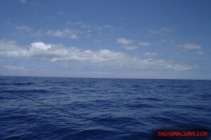 thekumachan_oahu_hawaii_charter_boat-11