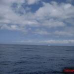 thekumachan_oahu_hawaii_charter_boat-12