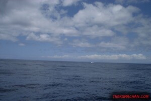 thekumachan_oahu_hawaii_charter_boat-12