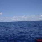 thekumachan_oahu_hawaii_charter_boat-2