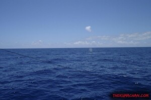 thekumachan_oahu_hawaii_charter_boat-3