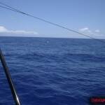 thekumachan_oahu_hawaii_charter_boat-4