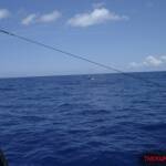 thekumachan_oahu_hawaii_charter_boat-5
