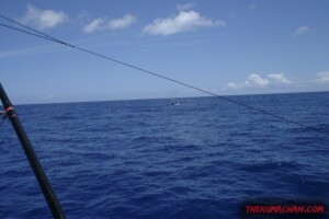 thekumachan_oahu_hawaii_charter_boat-5