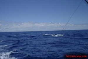 thekumachan_oahu_hawaii_charter_boat-6