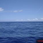 thekumachan_oahu_hawaii_charter_boat-8