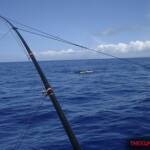 thekumachan_oahu_hawaii_charter_boat-9