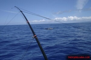 thekumachan_oahu_hawaii_charter_boat-9