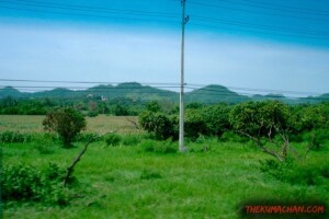 thekumachan_thailand-3