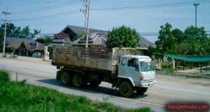 thekumachan_thailand-4