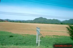 thekumachan_thailand-5