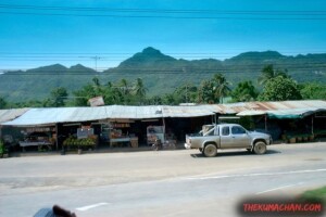thekumachan_thailand-6