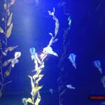 thekumachan_Aquarium_Osaka_Japan-31