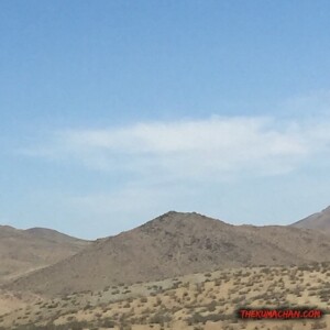 thekumachan_California-Nevada-6