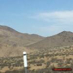 thekumachan_California-Nevada-8