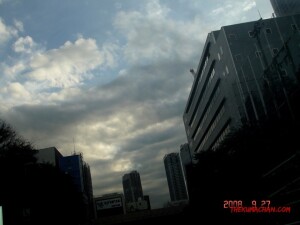 thekumachan_Japan-10