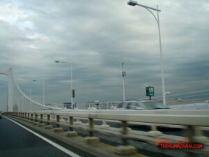 thekumachan_Japan-16