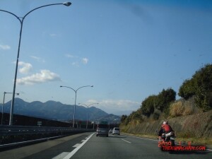 thekumachan_Japan-2