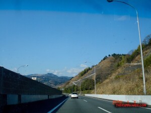 thekumachan_Japan-3