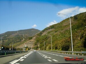 thekumachan_Japan-4